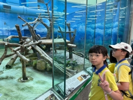 戶外教學--台北市立動物園:台北市立動物園校外教學62