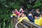 戶外教育-早上【關渡自然公園】:關渡自然公園104
