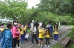 戶外教育-早上【關渡自然公園】:關渡自然公園106