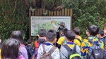 戶外教育-早上【關渡自然公園】:關渡自然公園126