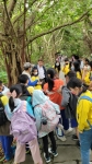戶外教育-早上【關渡自然公園】:關渡自然公園137