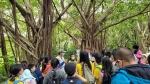 戶外教育-早上【關渡自然公園】:關渡自然公園138